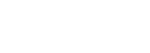BONFIX